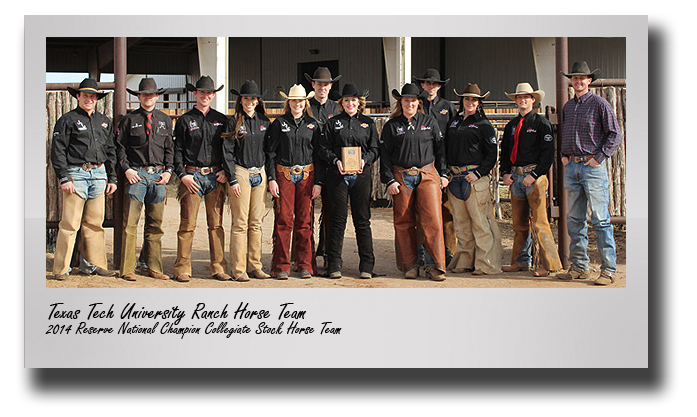Texas Tech University's Ranch Horse Team takes second at national contest