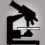 Food Safety; Zoetis provides research gift for CASNR Salmonella research Food Safety; Zoetis provides research gift for CASNR Salmonella research