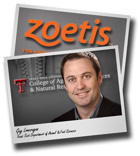 Food Safety; Zoetis provides research gift for CASNR Salmonella research