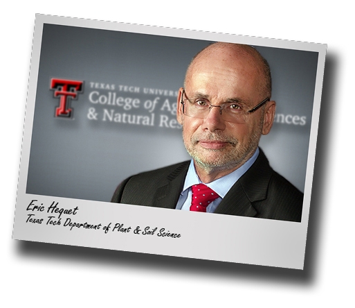Hequet set to take helm of Texas Tech's Department of Plant and Soil Science 