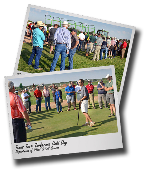Turfgrass Field Day set for July 13 at Texas Tech Quaker Research Farm