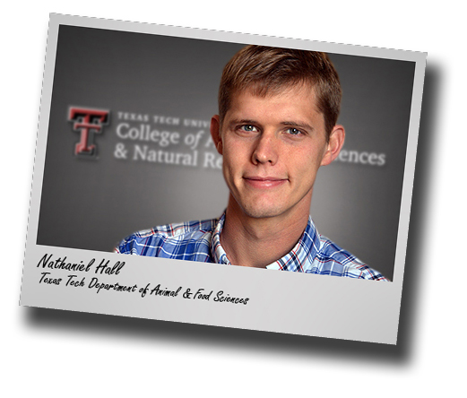 Nathaniel Hall joins Texas Tech's Department of Animal and Food Sciences
