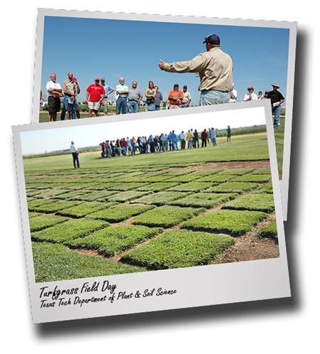 Turfgrass Field Day set for July 21 at Texas Tech Quaker Research Farm