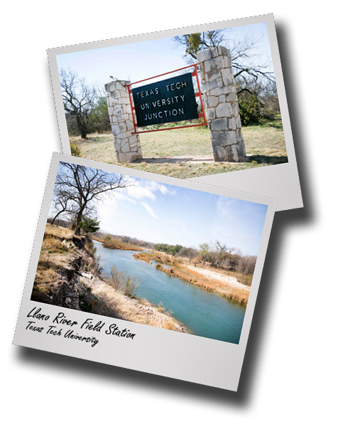 Llano River Field Station receives education and public service award