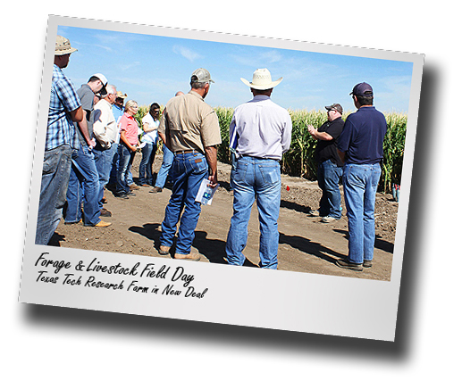 TAWC, TeCSIS Forage & Livestock Field Day set for July 9 at research farm