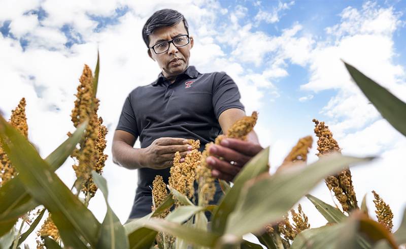 Krishna Jagadish Takes on Role as Interim Plant & Soil Science Chair Krishna Jagadish Takes on Role as Interim Plant & Soil Science Chair