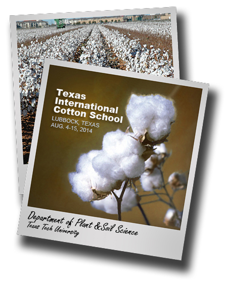 Global Outlook; Texas International Cotton School set for August 4-15