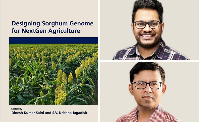 pss-sorghum-book-800