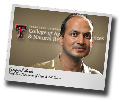 Tech's Plant and Soil Science Department adds noted plant physiologist Mendu