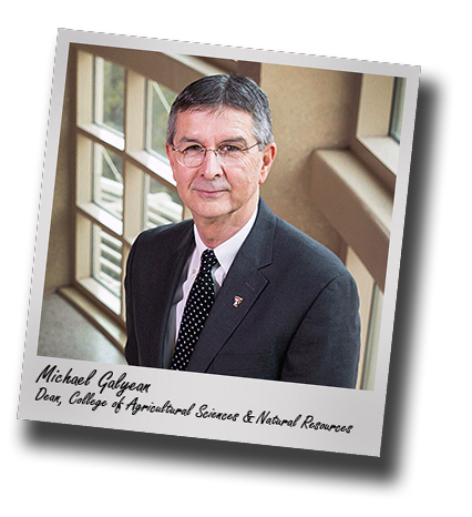 Texas Tech names CASNR Dean Galyean to the position of interim provost