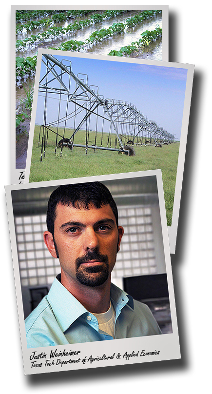 Researchers fight brutal drought with new web-based tools for farmers