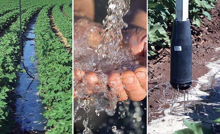 pss-jagadish-water-summit-700-2