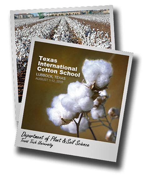 Texas International Cotton School scheduled for Aug. 1-12