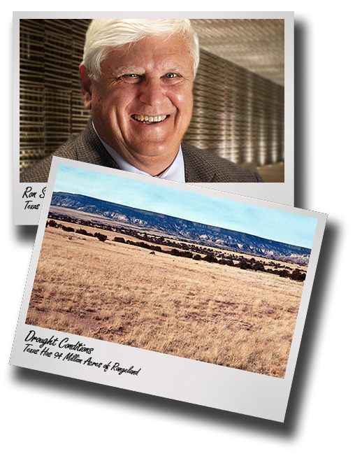 Ground cover, reduced post-drought grazing keys 94M acre range recovery