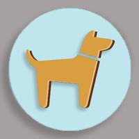 afs-alexandra-protopopova-adoption-drop-200