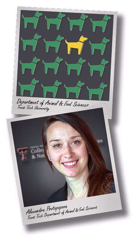 afs-alexandra-protopopova-adoption-drop