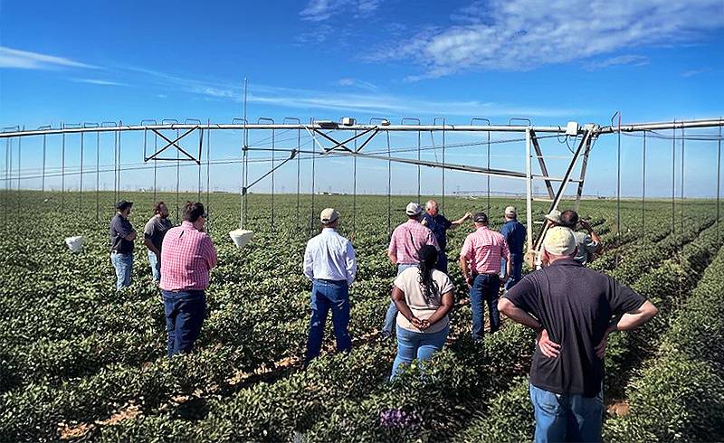 pss-$1.8m-usda-grant-800
