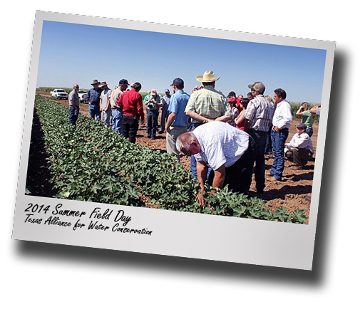 Irrigation Management; TAWC Summer Field Day set for Aug. 14 in Floyd County