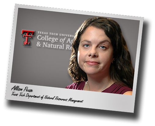 Tech's Natural Resources Management Department adds aquatic ecologist