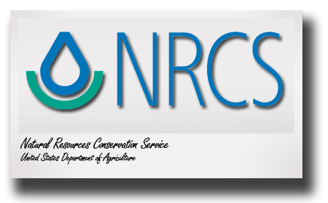 Strategic Steps; CASNR part of massive $500k plains conservation project