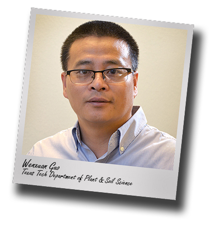 Texas Tech's Department of Plant and Soil Science adds Wenxuan Guo