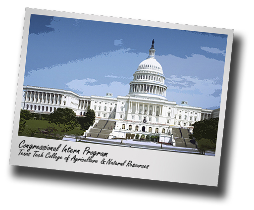 On The Floor: CASNR congressional fall interns bound for Washington