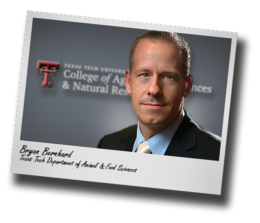 Texas Tech's Animal and Food Sciences adds new ruminant nutritionist Bernhard