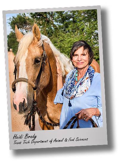 afs-heidi-brady-narru-award-2018-drop