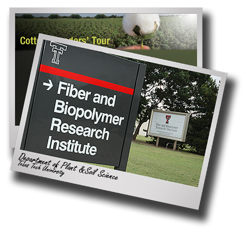 Premier Event; Top cotton breeders tour FBRI, Quaker Farm research centers