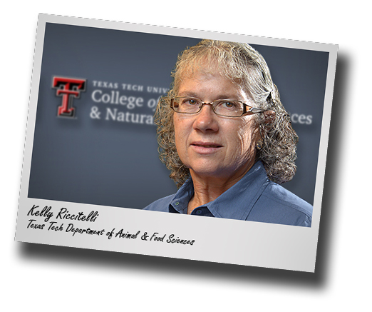 Noted equestrian instructor, manager Kelly Riccitelli joins Texas Tech's AFS  