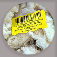 Texas Tech, USDA cut ribbon on cutting-edge cotton classification complex