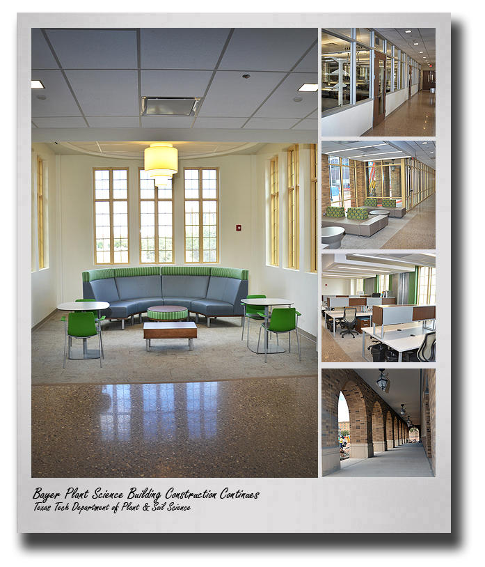 GALLERY: Sleek, modern interiors highlight Bayer Plant Science Building