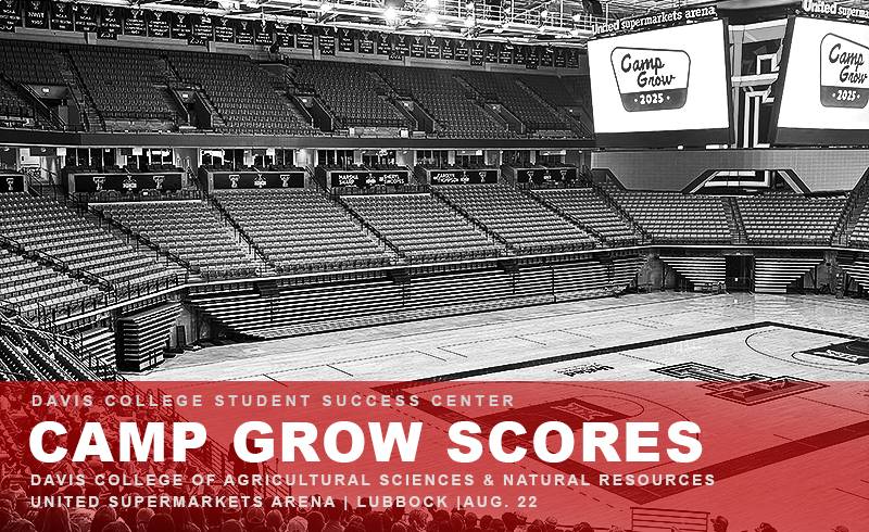 ssc-2025-camp-grow-800-1