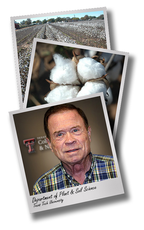 In Press: FBRI's Ethridge focuses on cotton fiber quality in world market