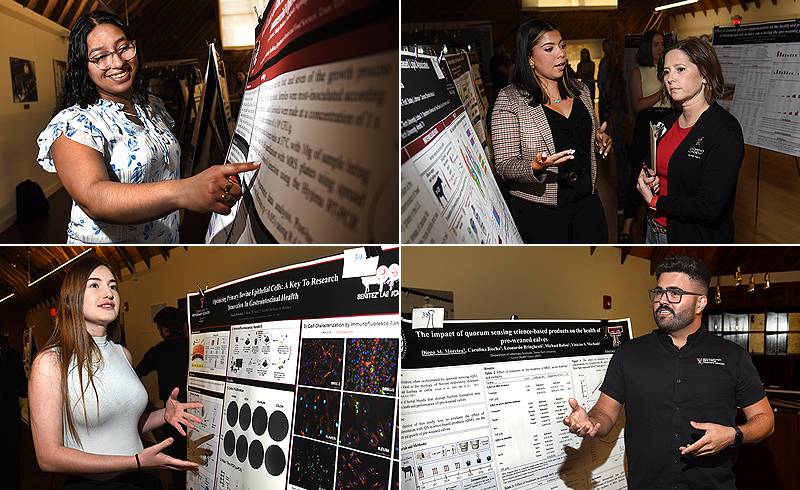 ssc-grad-poster-2024-gallery-800