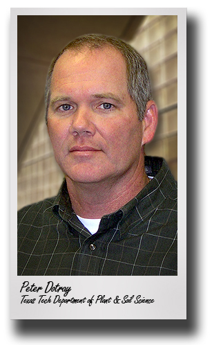 TCAAA honors Dotray with 'Specialist of the Year' award for stellar service