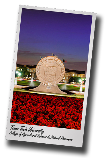 Texas Tech sets another enrollment record, CASNR brings 1,856 students
