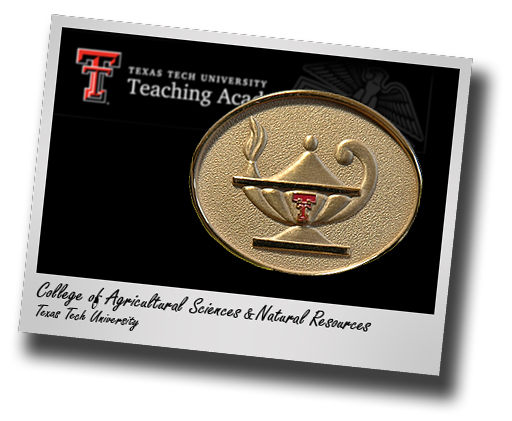 Texas Tech Teaching Academy welcomes Brooks as new member from CASNR