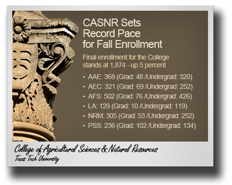 Positive Signs; CASNR once again sets fall enrollment and research record