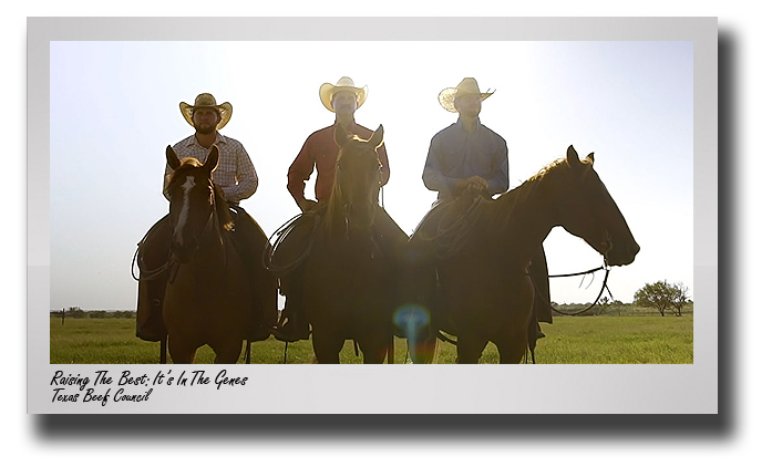 Texas Beef Council's new documentary 'Raising the Best' has close CASNR ties