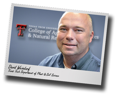 Texas Tech's Board of Regents grant tenure to new PSS faculty member