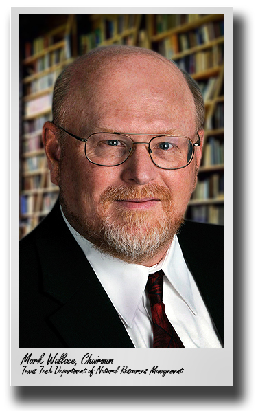 Wallace named chairman of Department of Natural Resources Management
