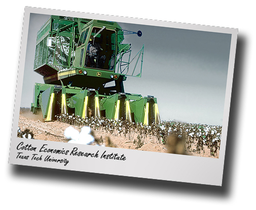 Colossal Headache; Cotton farmers sought bank aid in government shutdown