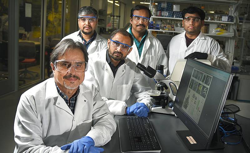 pss-patil-gene-editing-800 pss-patil-gene-editing-800