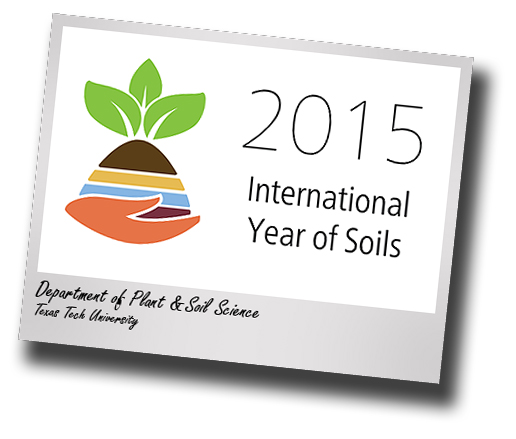 International Year of Soils; Focus on conservation and sound management
