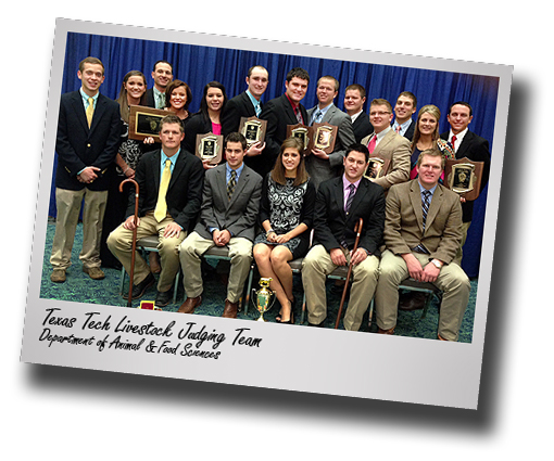 Tech Livestock Judging Team finishes season as reserve national champions