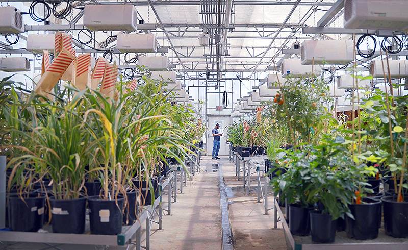 Davis College, BASF Partnership Has Transformational Research Impact