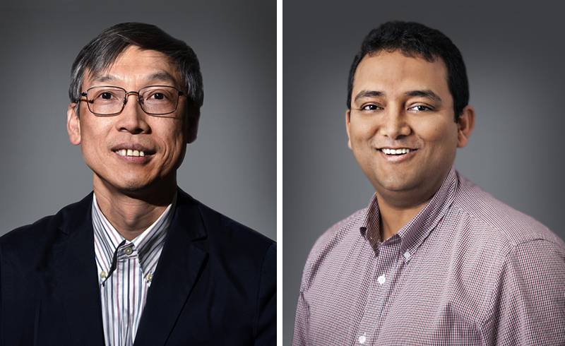 Davis College Professors Join Global List of Most-Cited Scientists for 2025