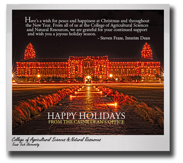 Happy Holidays & Warm Wishes