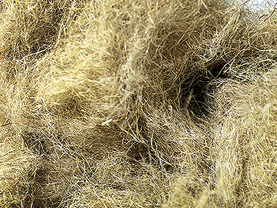 hemp fibers